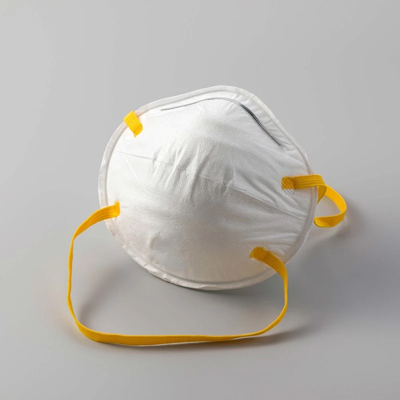 Disposable 3ply Dust Mask
