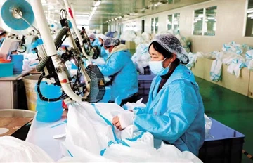 Raidallisen suojahaalarin kukoistus